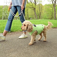 HUNTER Hunde-Kühlweste 2in1 inkl. Geschirr leichtes Mesh-Design atmungsaktiv