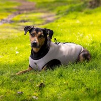 HUNTER Hunde-Kühlweste 2in1 inkl. Geschirr leichtes Mesh-Design atmungsaktiv